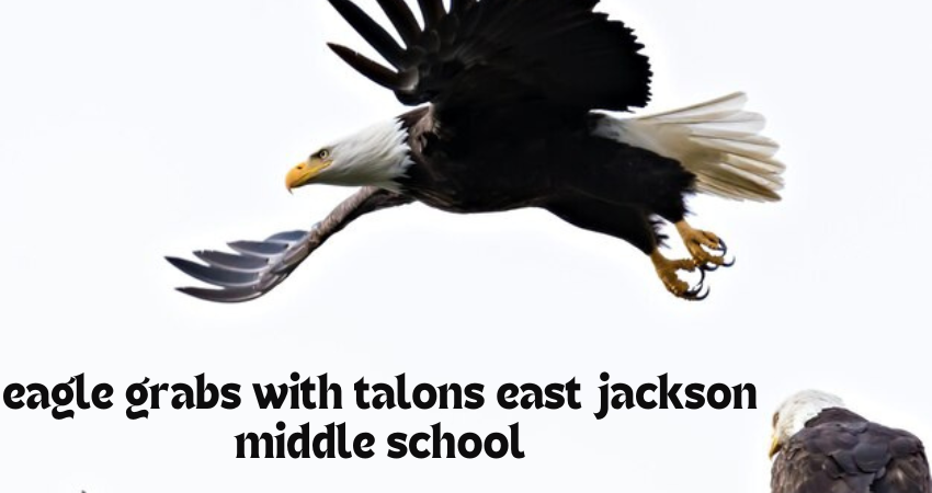 eagle grabs with talons east jackson middle school