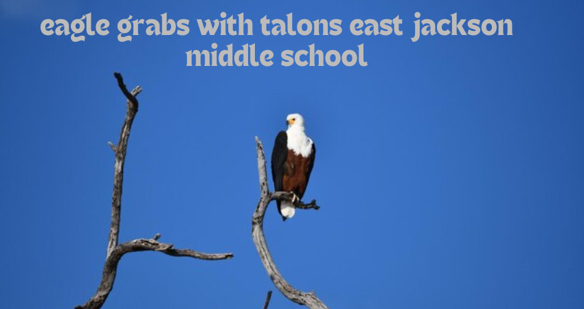 eagle grabs with talons east jackson middle school