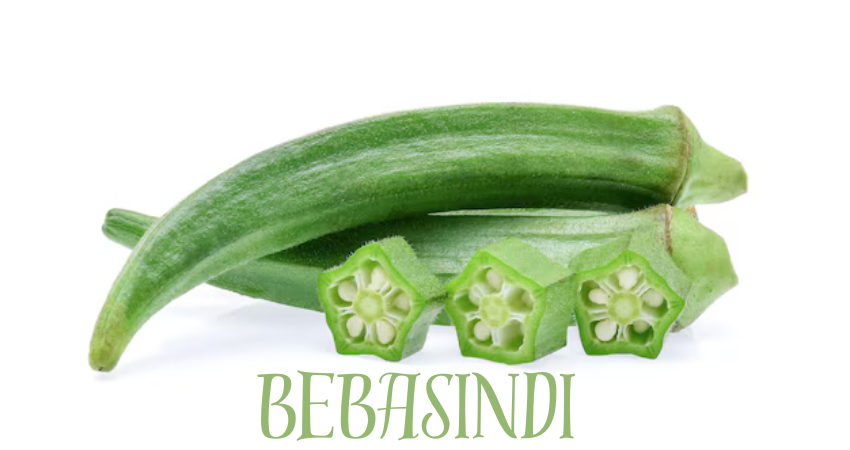 bebasindi 