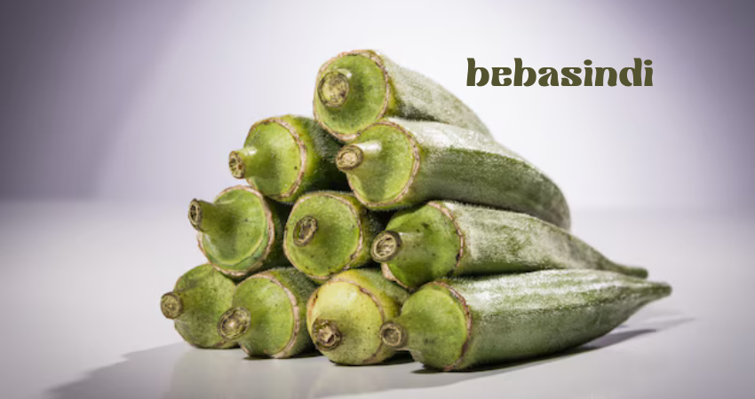 bebasindi 