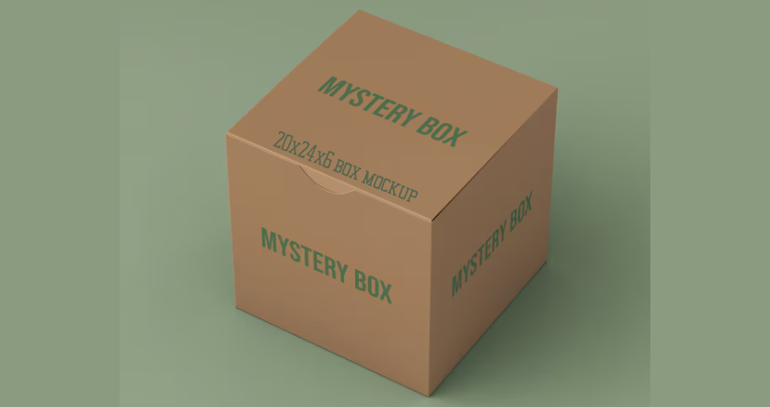 20x24x6 box mockup